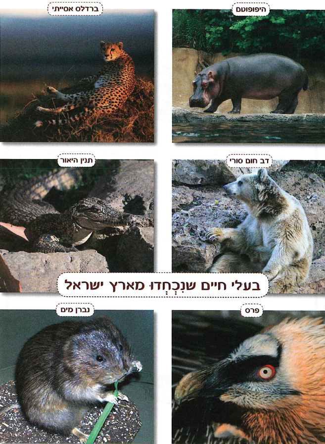 (בספר שש תמונות:)